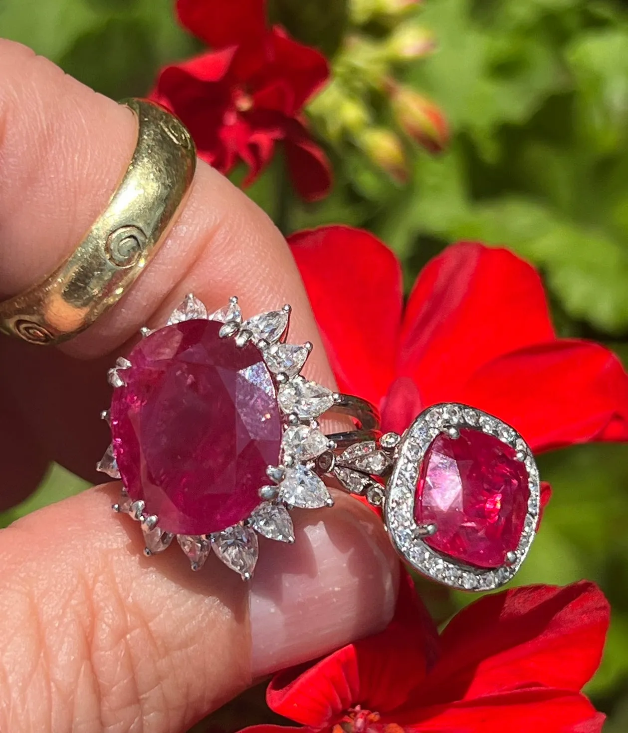 22.50 carat Burmese Ruby Cocktail Ring