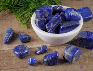 LAPIS LAZULI Tumbled Stones - Tumbled Crystals, Self Care, Healing Crystals and Stones,  E1178