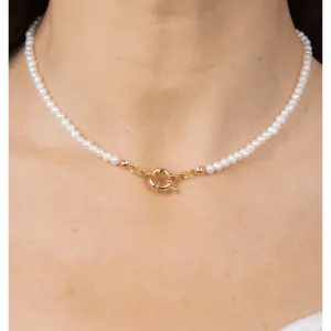 Sara Chocker Freshwater Pearls