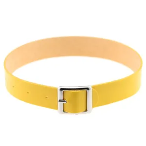 Yellow Buckle Choker